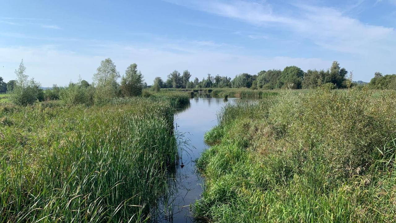 'T Paviljoenhus Bij Sneekermeer Offingawier ภายนอก รูปภาพ