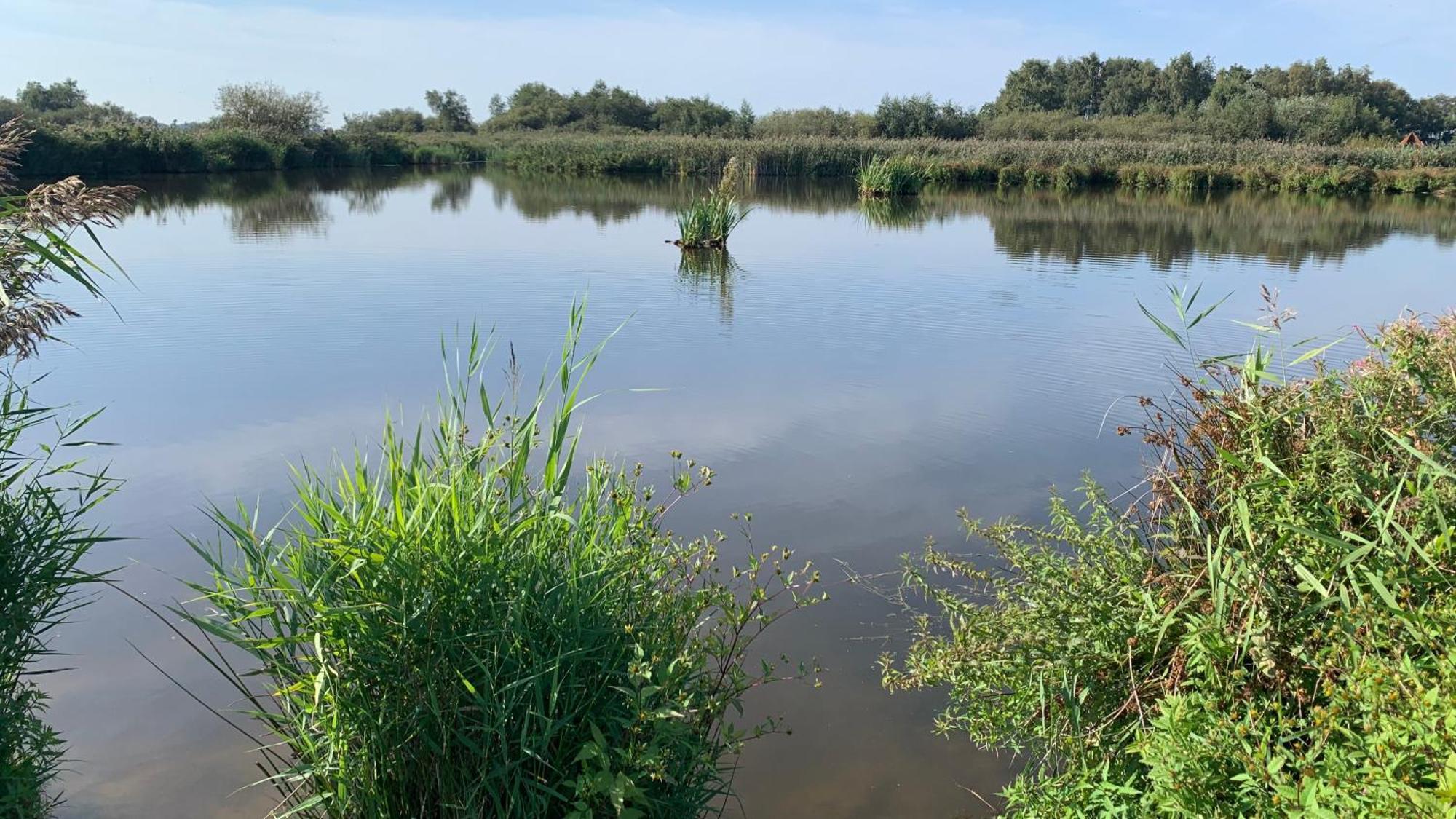 'T Paviljoenhus Bij Sneekermeer Offingawier ภายนอก รูปภาพ
